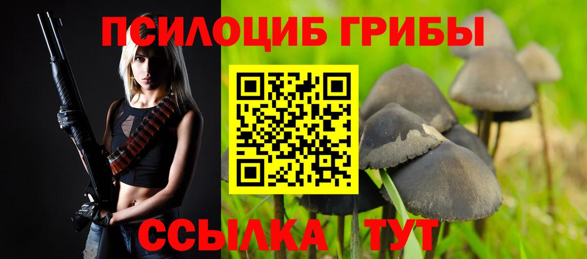 Галлюциногенные грибы Psilocybine cubensis  Вход с VPN  Ханты-Мансийск 